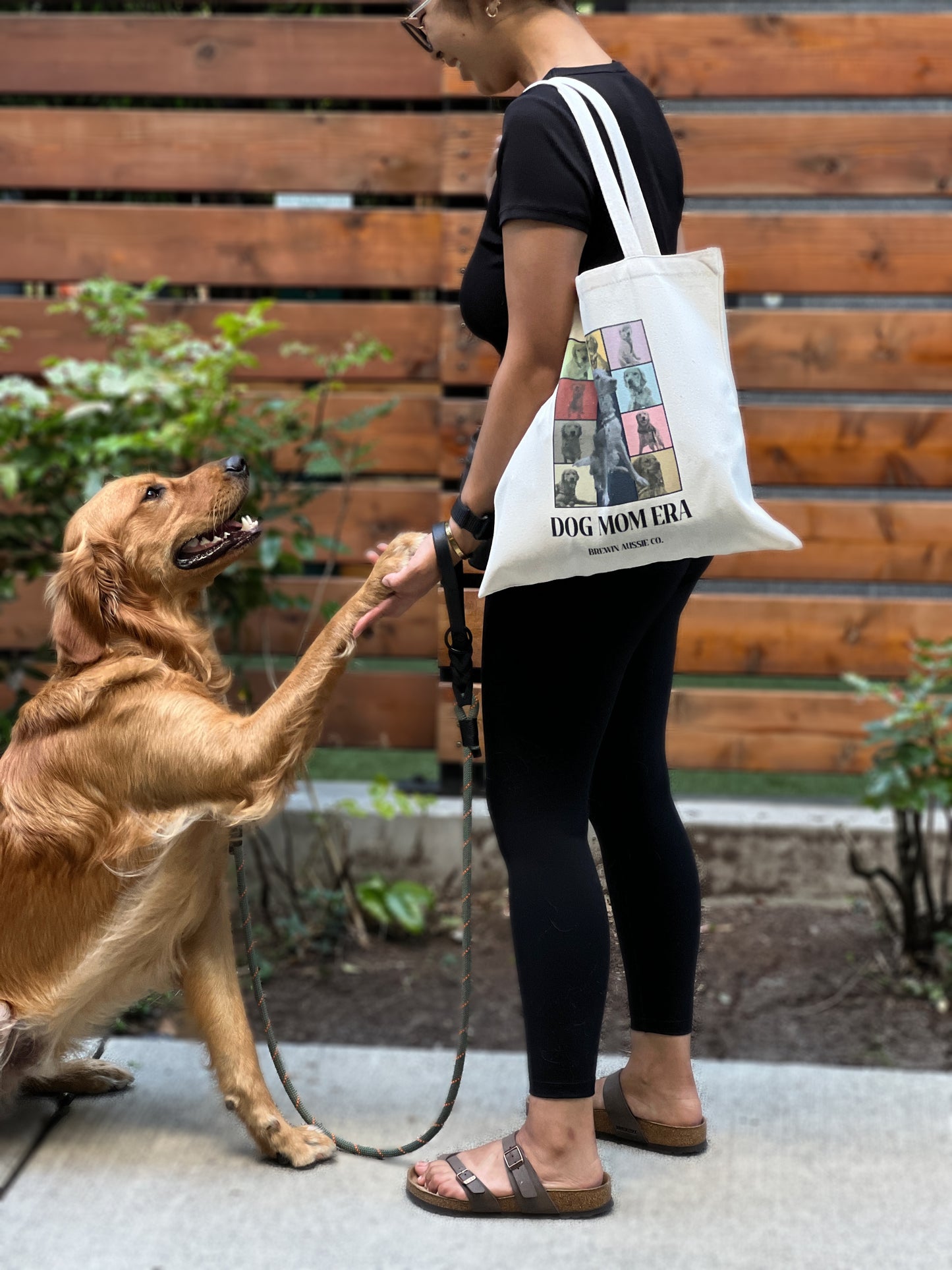 Dog Mom Era Tote