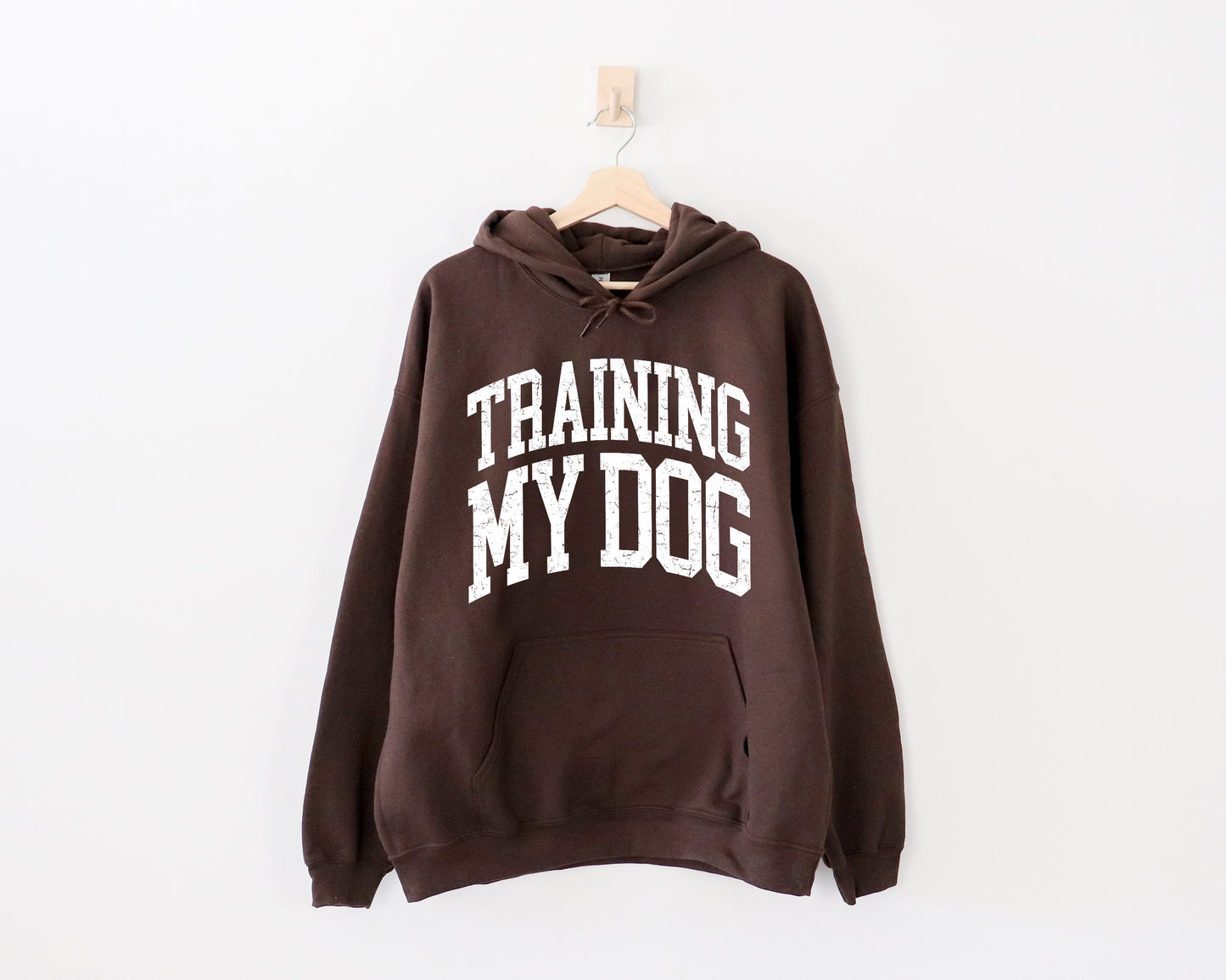 **PREORDER** Training My Dog Hoodie