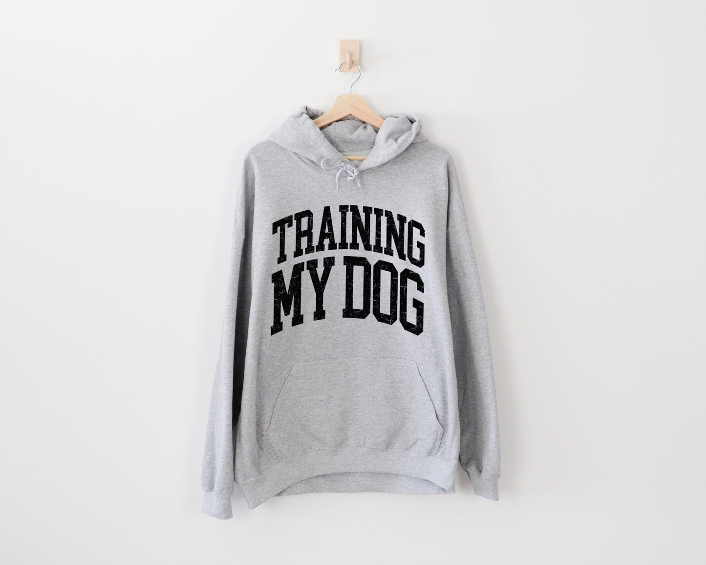 **PREORDER** Training My Dog Hoodie