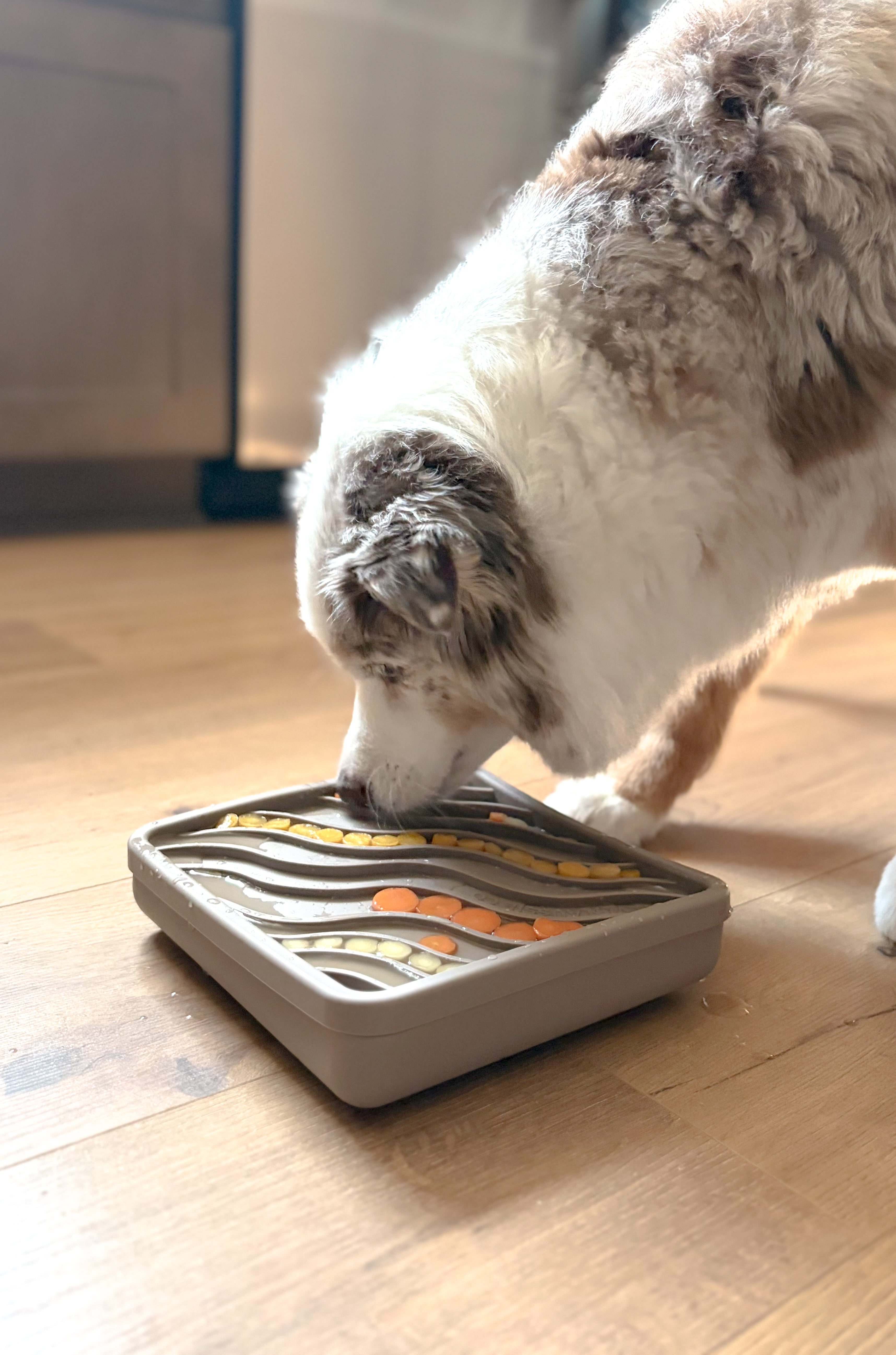 FOR THE PETS