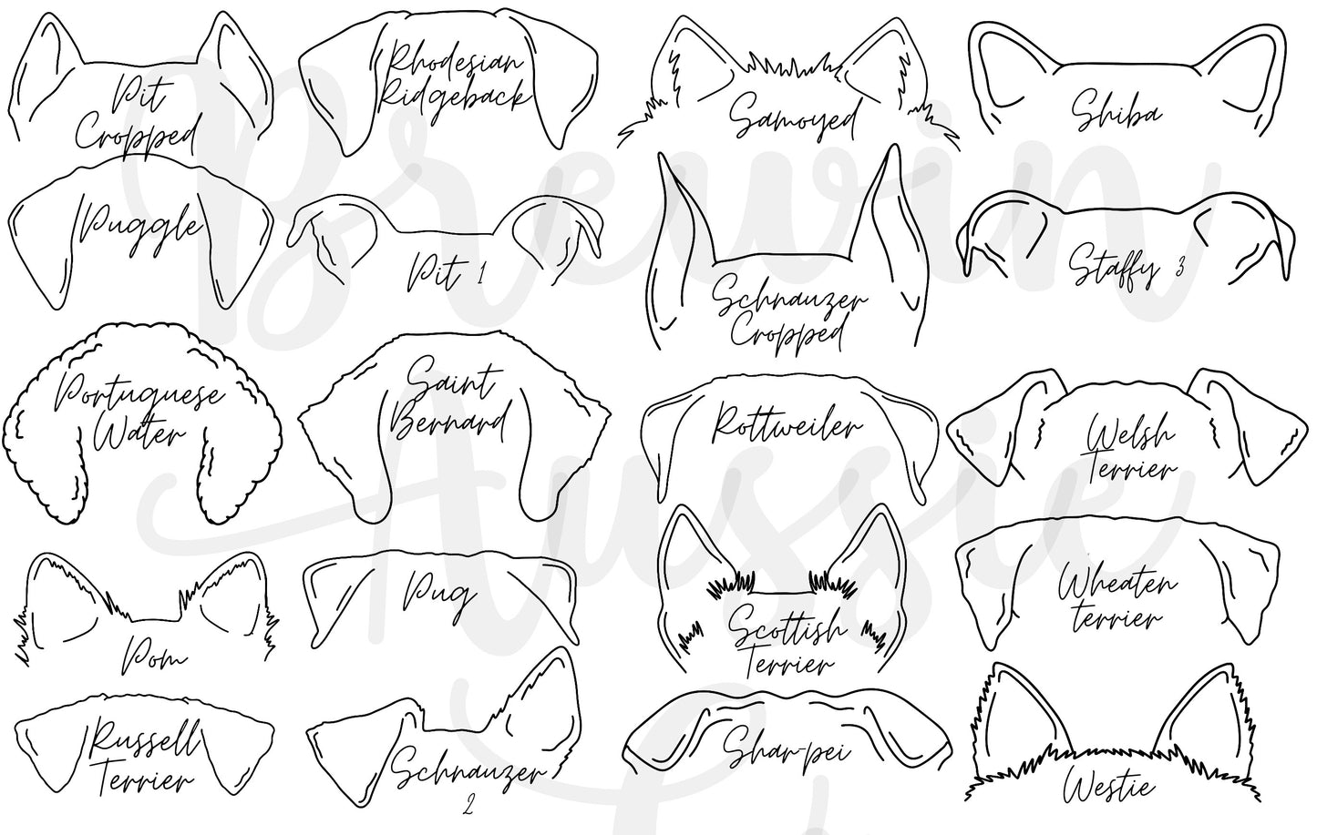 Dog Ear Drawing Treat Jar