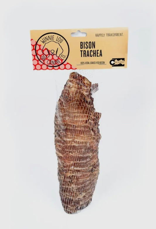Bison Trachea
