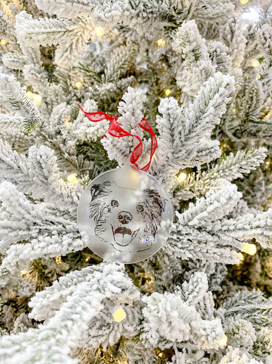 Frosted Ornaments