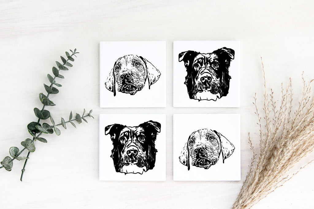 Pet Drawing Coasters