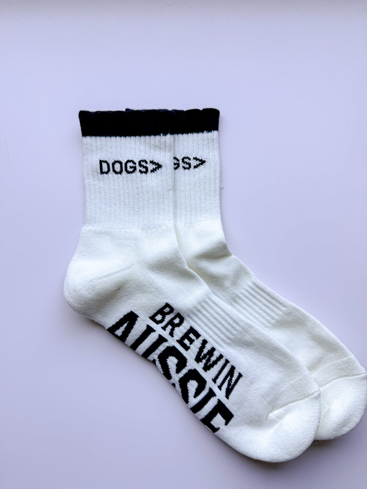Dogs> Socks