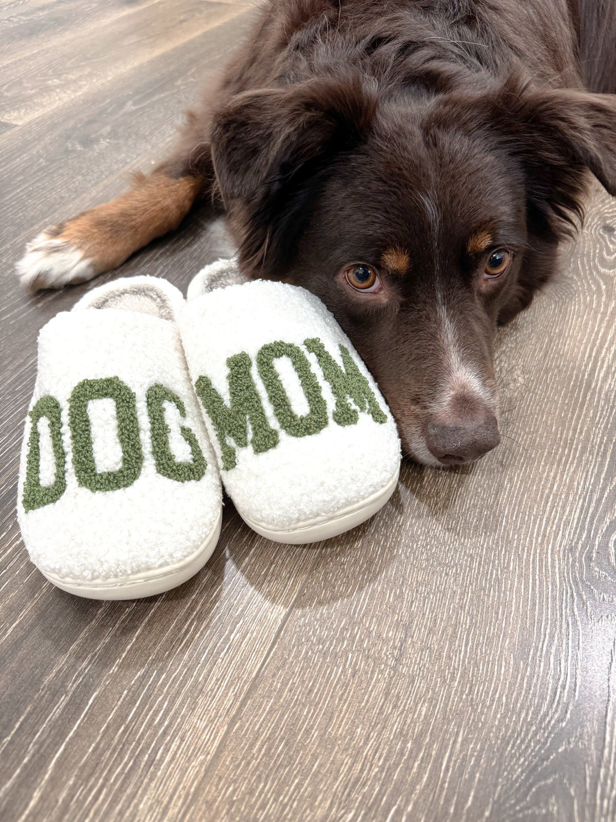 Green Dog Mom Slippers
