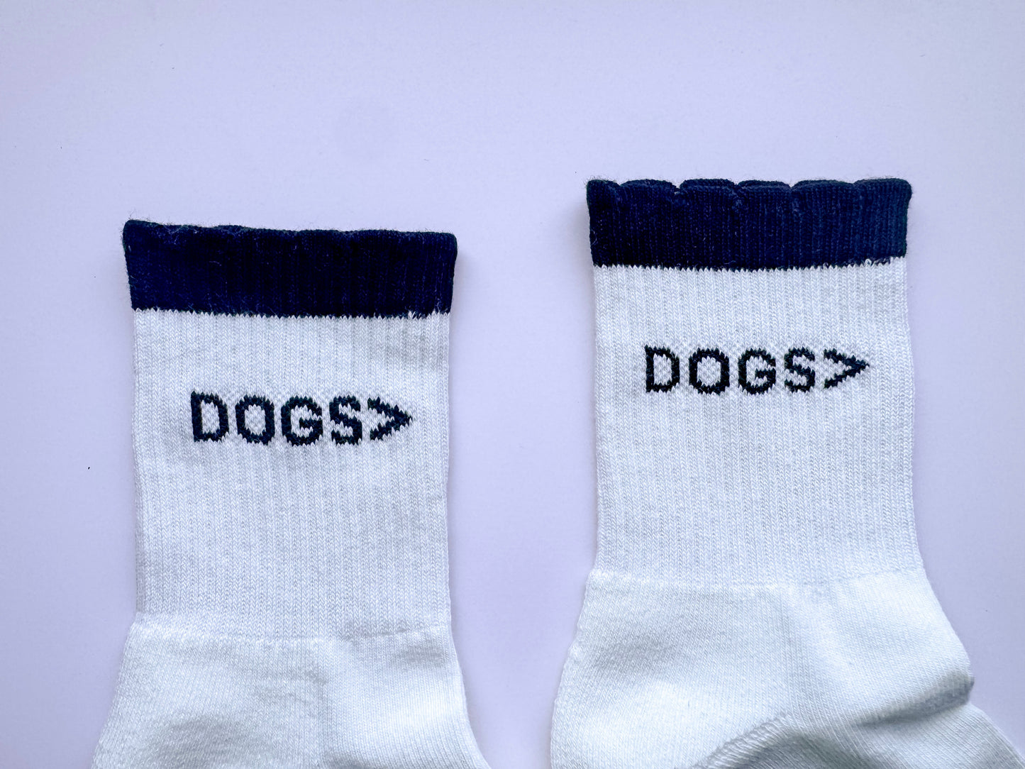 Dogs> Socks