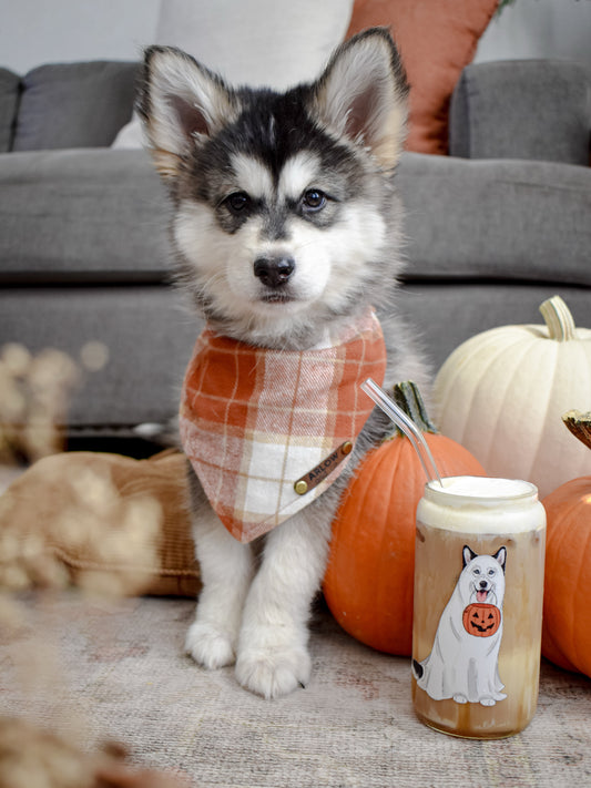 Spooky Pup Glass Can