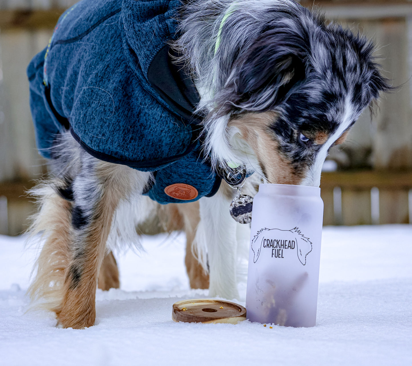 Dog Ear Drawing Treat Jar