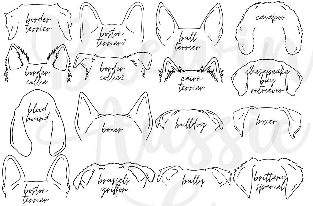 Small Dog Ear Treat Jar