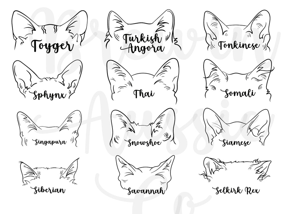 Small Cat Ear Treat Jar