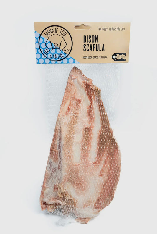 Bison Scapula