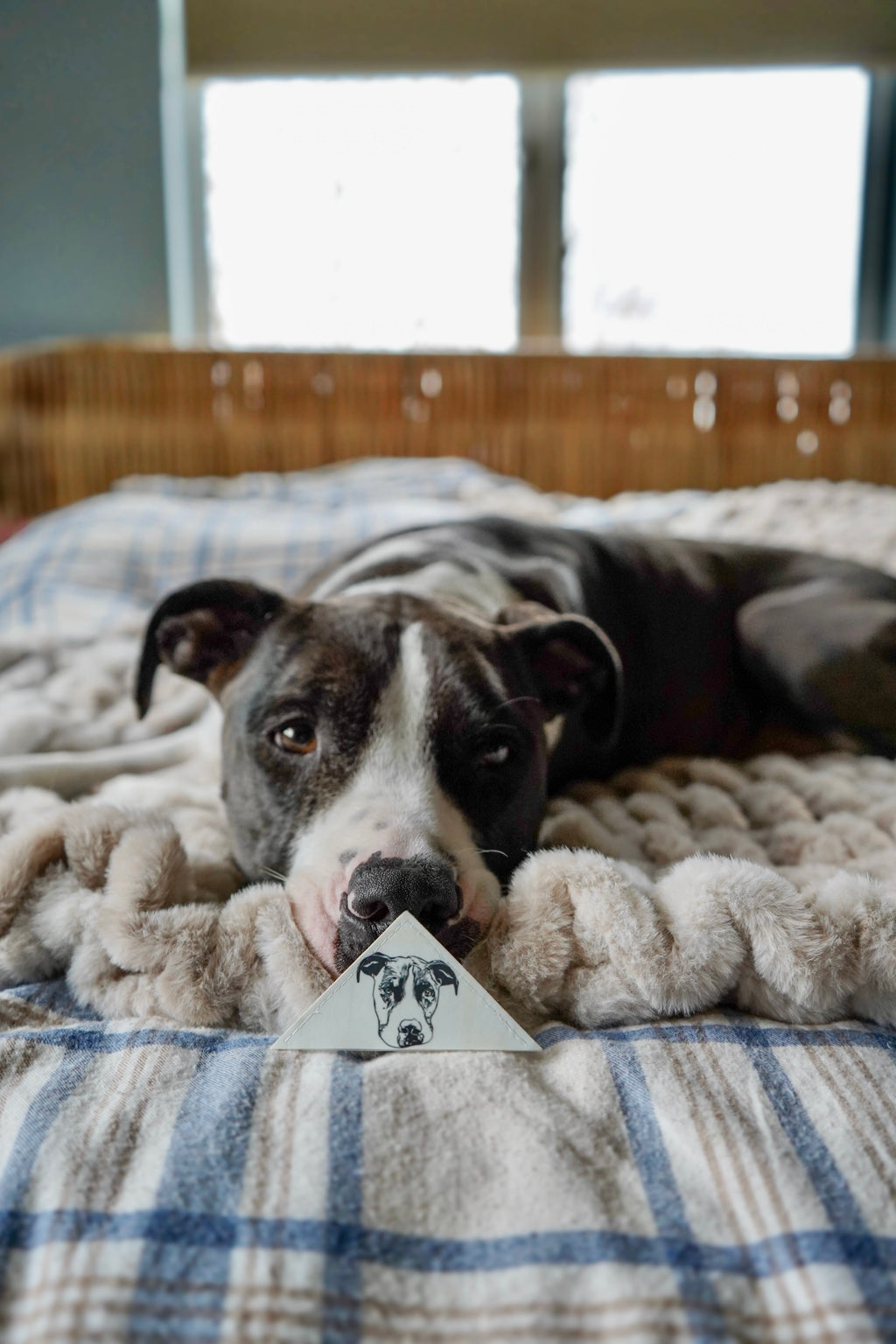 Dog Drawing Bookmark