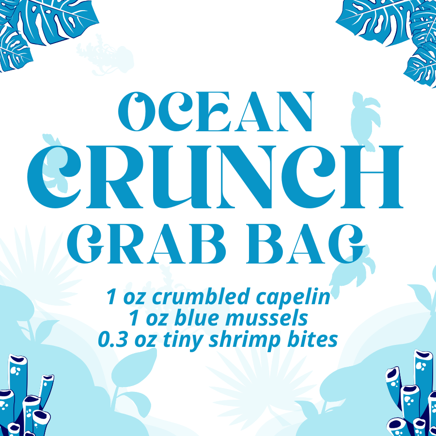 Ocean Crunch Bag