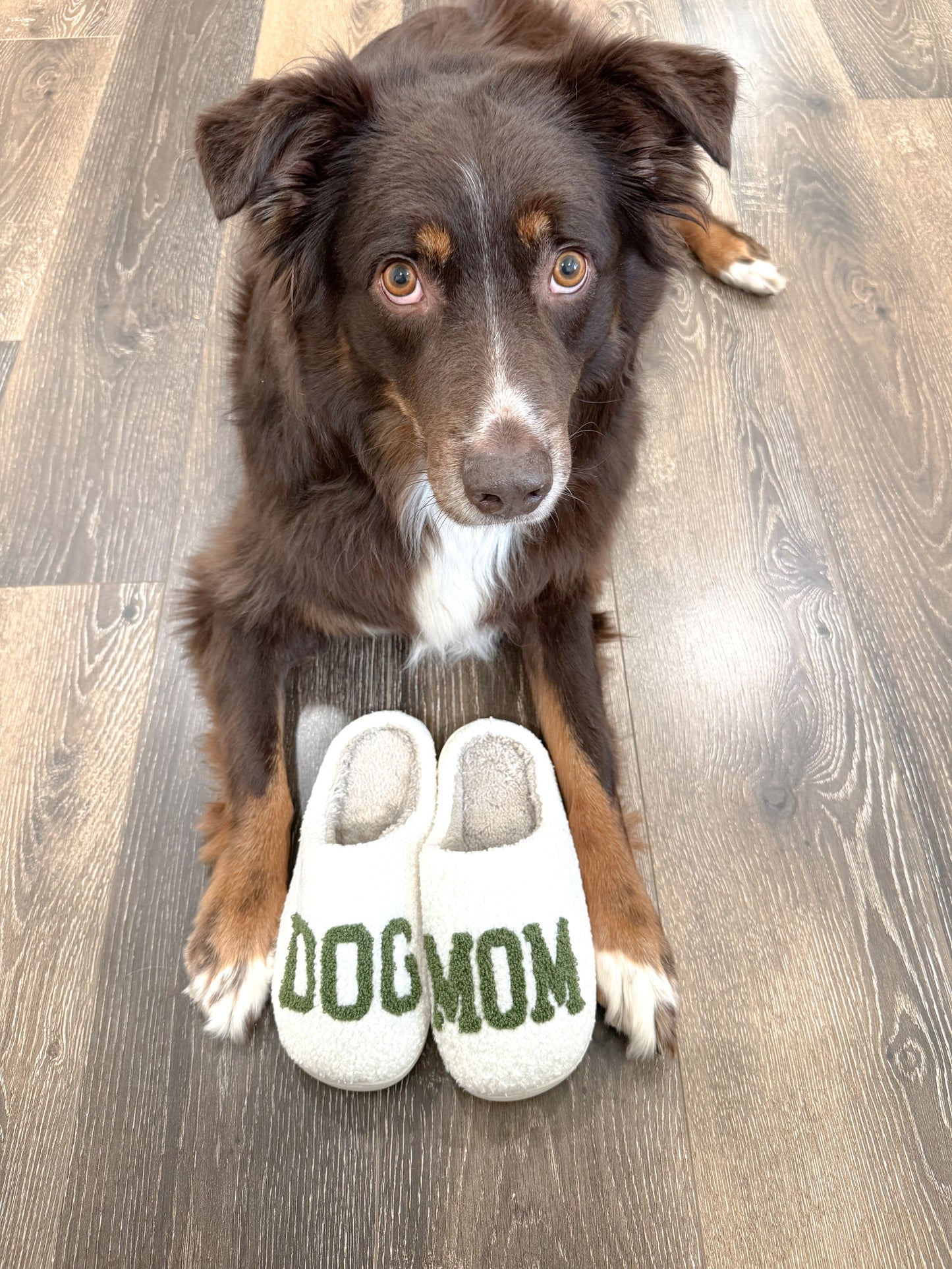 Green Dog Mom Slippers