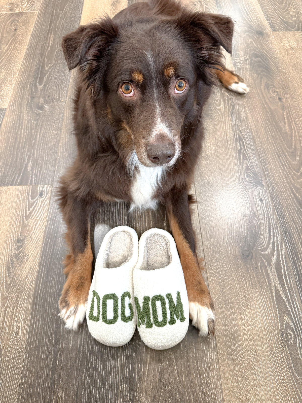 Green Dog Mom Slippers