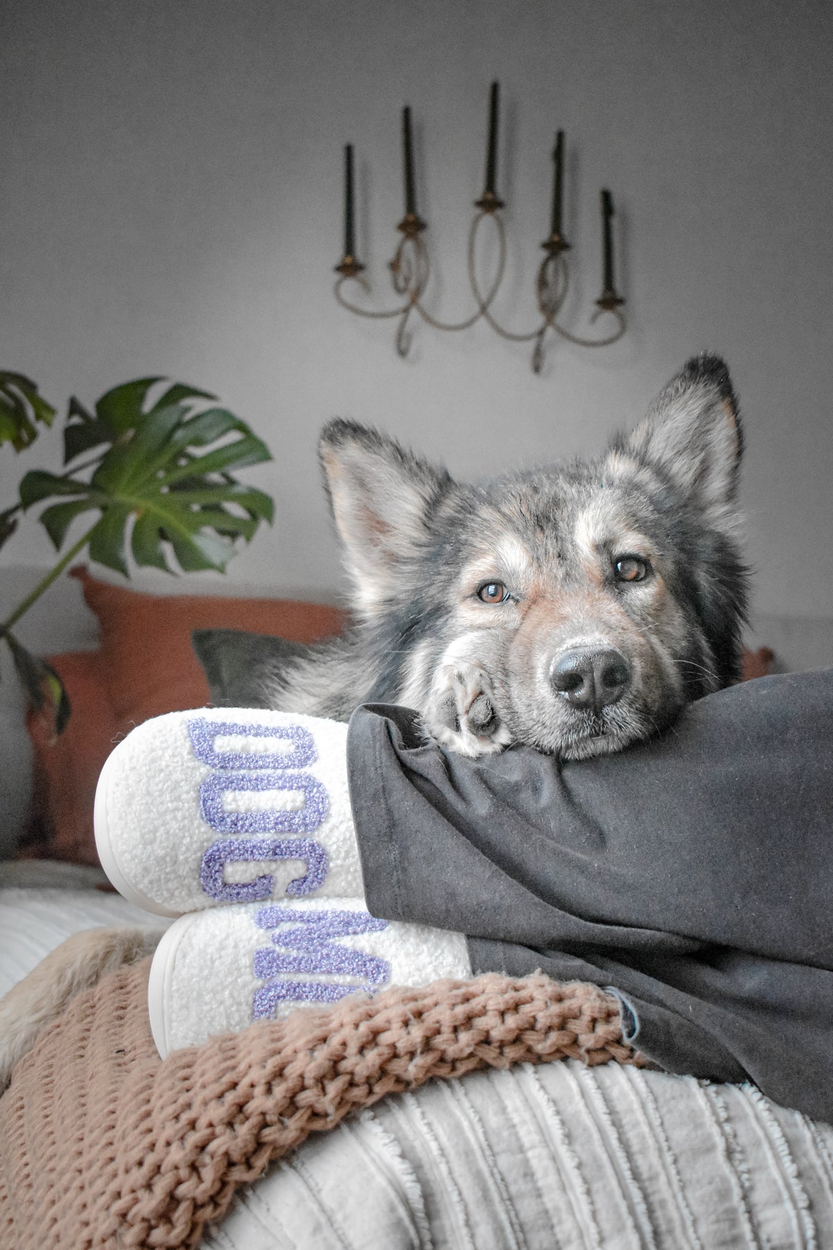 Dog Mom Slippers
