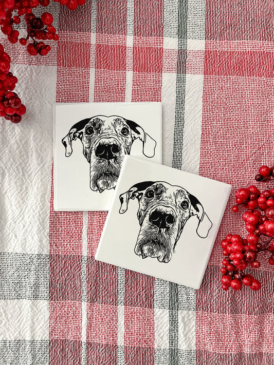 Pet Drawing Coasters