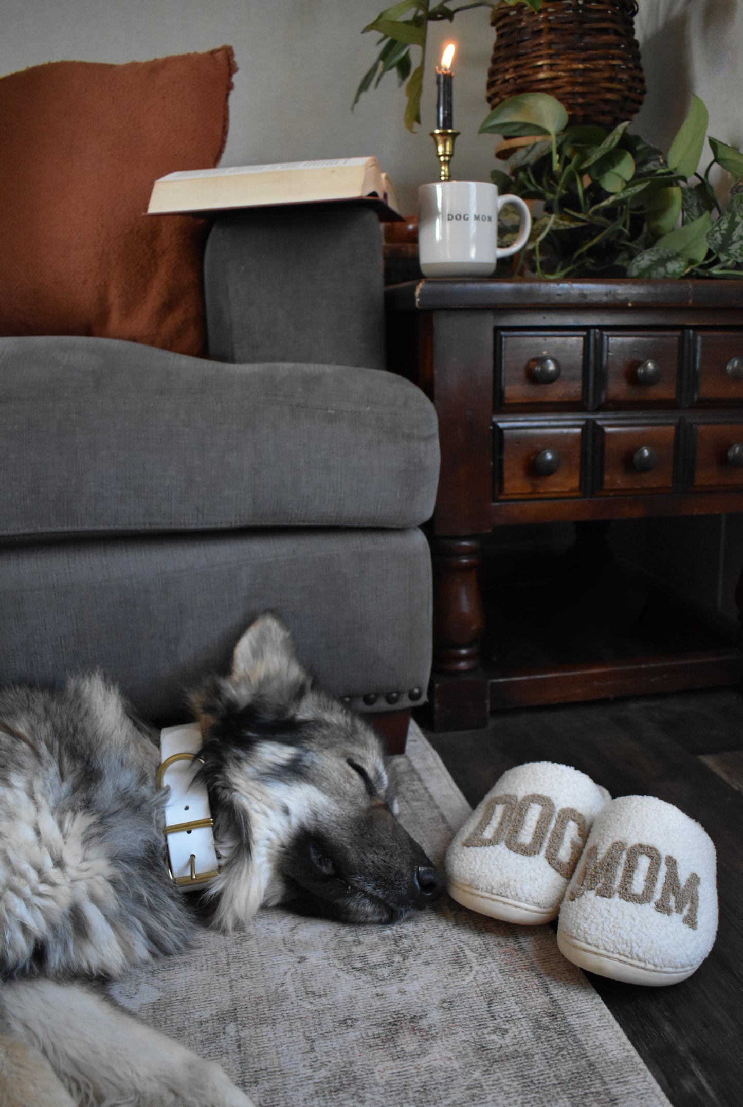 Taupe Dog Mom Slippers