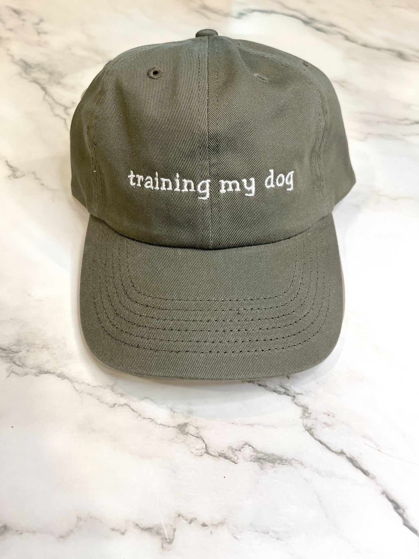 Training My Dog Hat