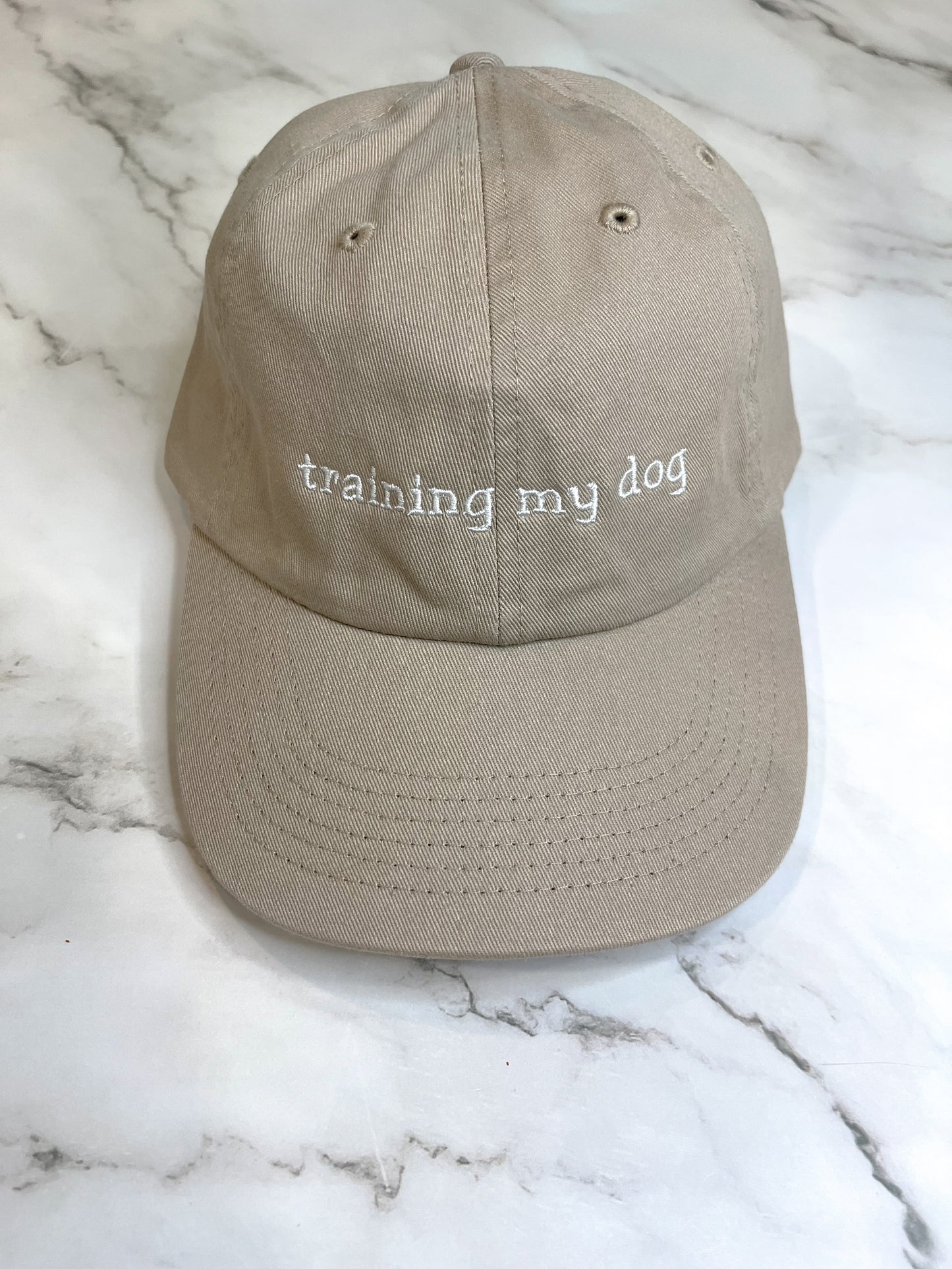 Training My Dog Hat