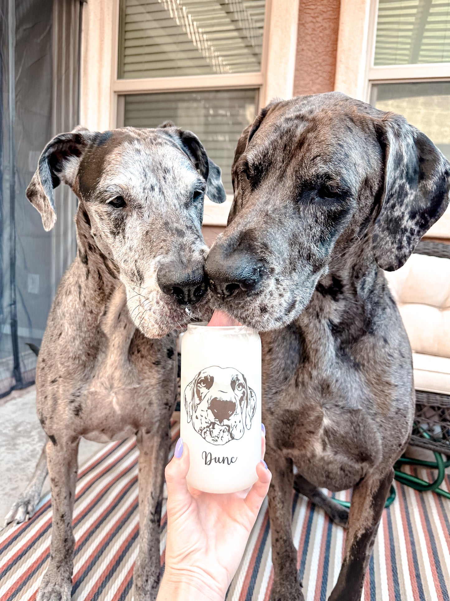 Dog Drawing Glass Can Cup