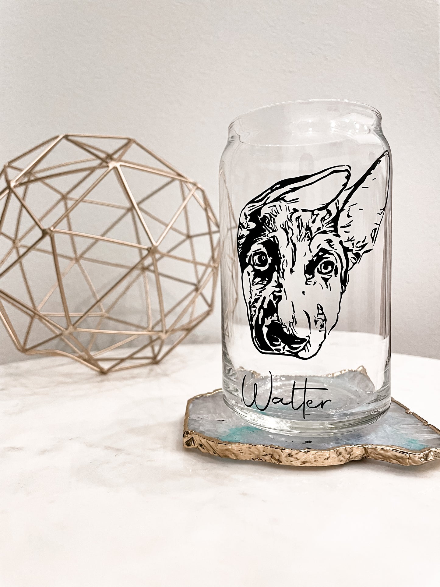 Dog Drawing Glass Can Cup